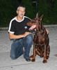 Dobermann fokker