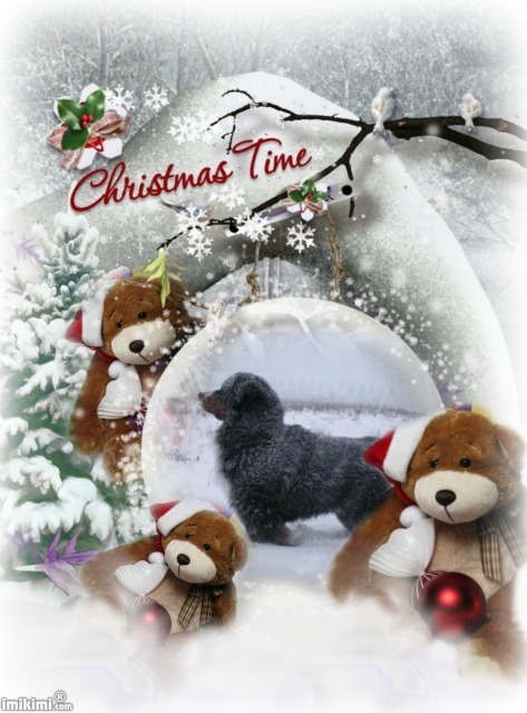 Kerst kaartje gemaakt met Imikimi.com