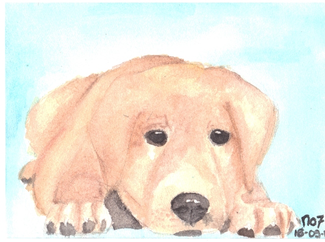 Labrador Retriever in aquarel