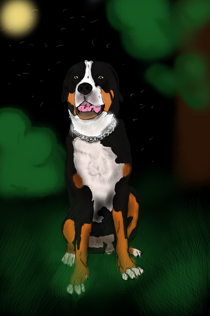 Een hond van een vriend van mij, getekent door mij ^^.
Ik maak ook tekeningen voor mensen die ik niet ken voor een kléin bedrag. je hoeft het alleen maar te vragen.