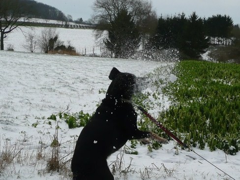 Nadia vangt een sneeuwbal