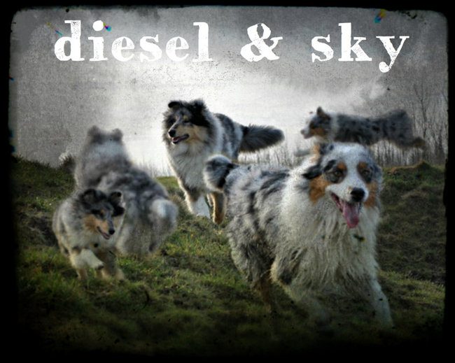 diesel & sky bewerkt 
