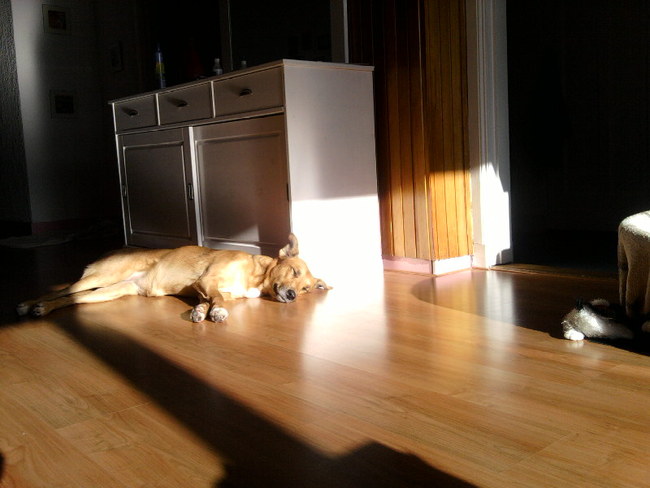 Ze wordt slaperig van zonnen.