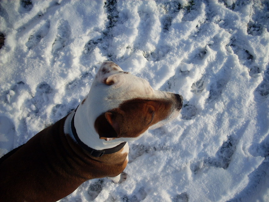 Chika in de sneeuw en dat vindt ze haar 2e jaar wel geweldig