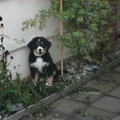 Oeps, betrapt.