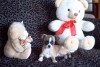 Chihuahua Chihuahua