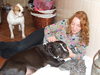 American Staffordshire Terrier