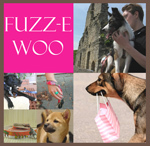 http://www.fuzzewoo.nl