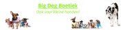http://www.bigdogboetiek.nl