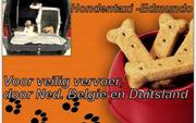 http://www.filabrasileirokenneledmundo.come2me.nl