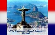 http://www.filabrasileirokenneledmundo.come2me.nl