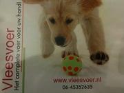 http://www.vleesvoer.nl