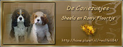 http://home.planet.nl/~wolte684/