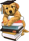 http://www.hondenschooldedoorzetter