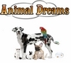 http://www.animaldreams.eu