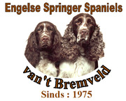 http://bremveld.wordpress.com