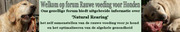 http://www.forumwereld.nl/rauwevoedingvoorhonden/index.php?action=forum