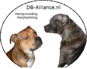 http://db-alliance.nl