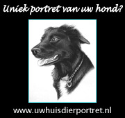 http://www.uwhuisdierportret.nl