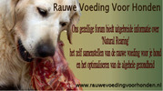 http://www.forumwereld.nl/rauwevoedingvoorhonden/index.php?action=forum