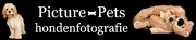 http://www.picture-pets.nl