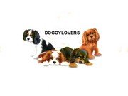 http://www.members.lycos.nl/doggylovers