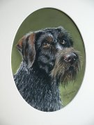 http://www.dierenpootjes.nl