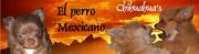 http://www.everyoneweb.com/ElperroMexicano/