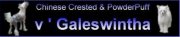 http://www.everyoneweb.com/Galeswintha/