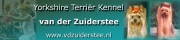 http://www.vdzuiderstee.nl