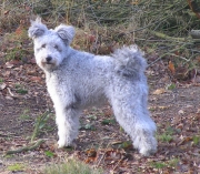 http://www.pumi.nl