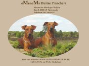 http://www.duitsepinschers.tk