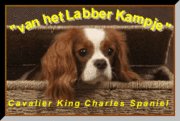 http://www.labberkampje.nl