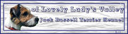 http://www.jackrussell-terrier.nl
