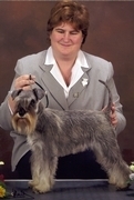 http://www.dwergschnauzers.be