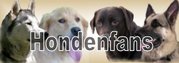 http://www.hondenfans.tk
