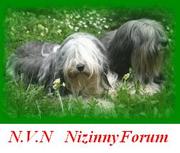 http://nizinnyverbond.multiforum.nl