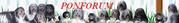 http://nizinnyverbond.multiforum.nl