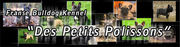 http://www.despetitspolissons.nl