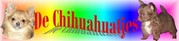 http://groups.msn.com/Dechihuahuatjes/_