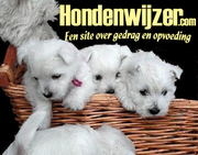 http://www.hondenwijzer.com
