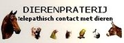 http://dierentolk-dierenpraterij.nl/index.html