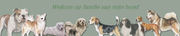 http://familievanmijnhond.forumup.nl/