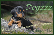 http://www.dogzzz.biz