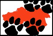 http://brabantdogs.forum2go.nl/
