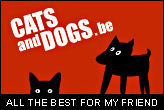 Cats&Dogs - All the best for my friend