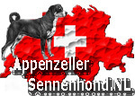 http://www.appenzellersennenhond.nl