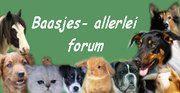 http://voorelkwatwils.forum2go.nl