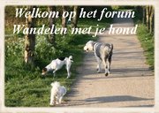 http://wandelmetjehond.forum2go.nl/
