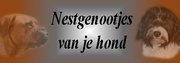 http://nestgenootjes.forum2go.nl/